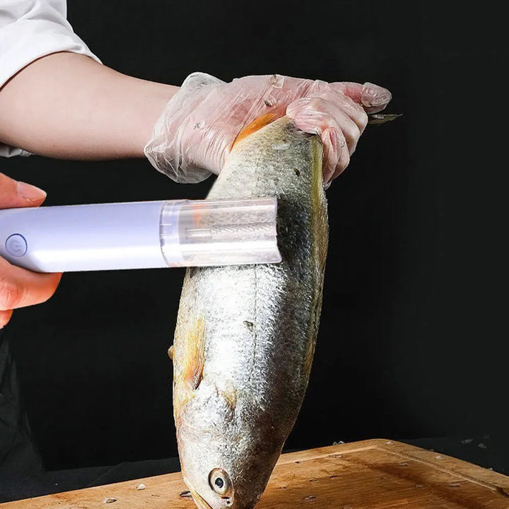 מסיר קשקשי דג נטען