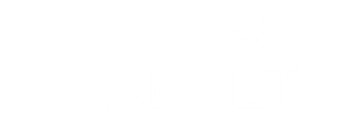 Wow-Gadget
